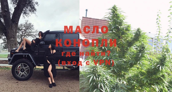 дживик Каменногорск