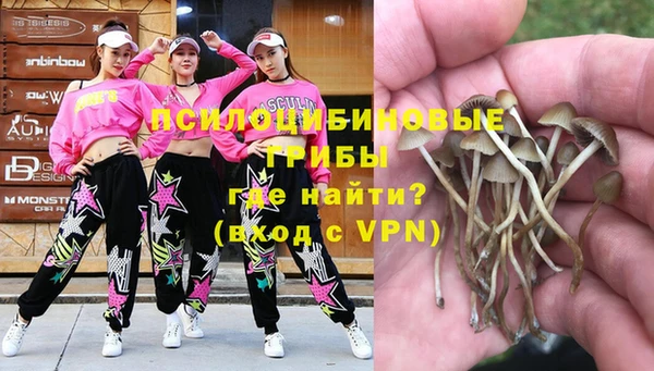 кокс Абаза