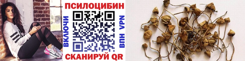 Галлюциногенные грибы мицелий  Тамбов 