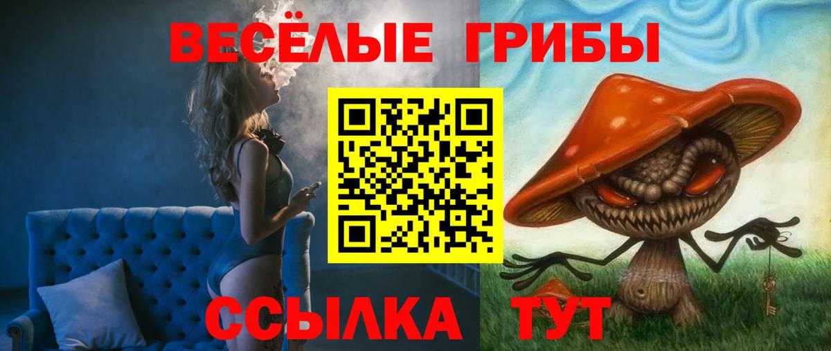 Тамбов  Галлюциногенные грибы мицелий  Вход с VPN 